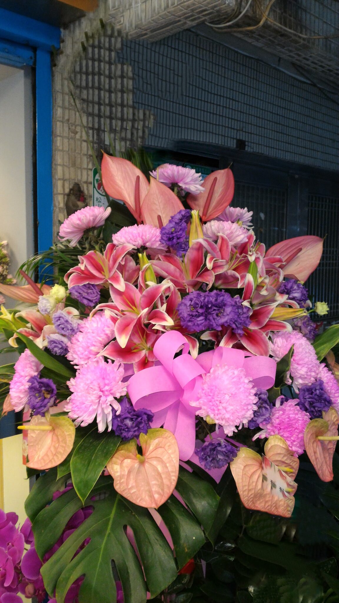 A0041 eShowflower a0041-eshowflower