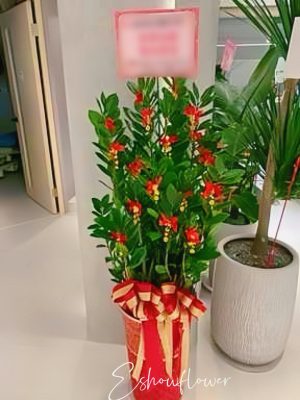 編號:EH0104